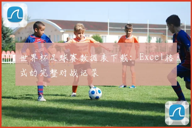 世界杯足球赛数据表下载：Excel格式的完整对战记录