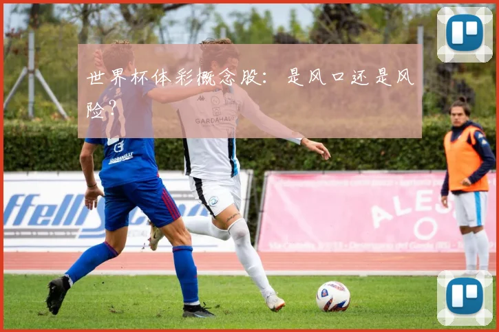 世界杯体彩概念股：是风口还是风险？