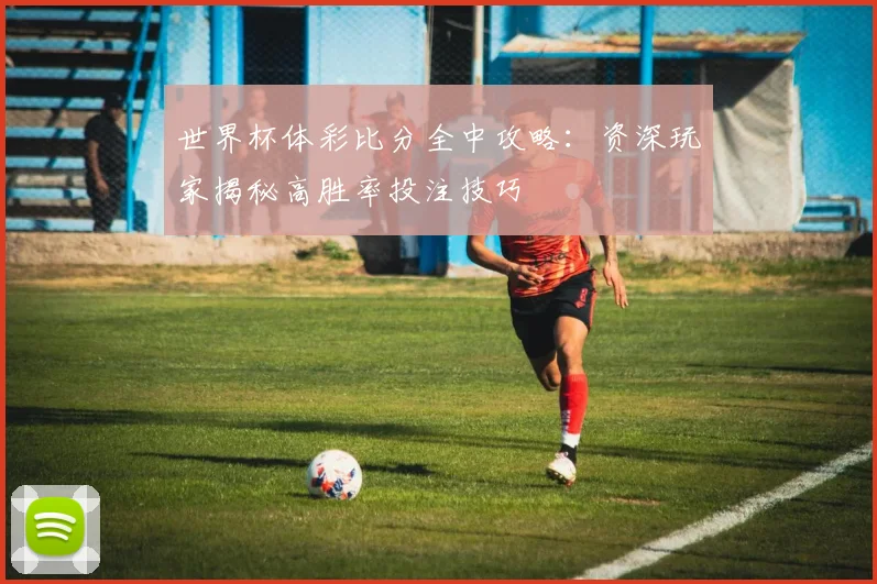 世界杯体彩比分全中攻略：资深玩家揭秘高胜率投注技巧
