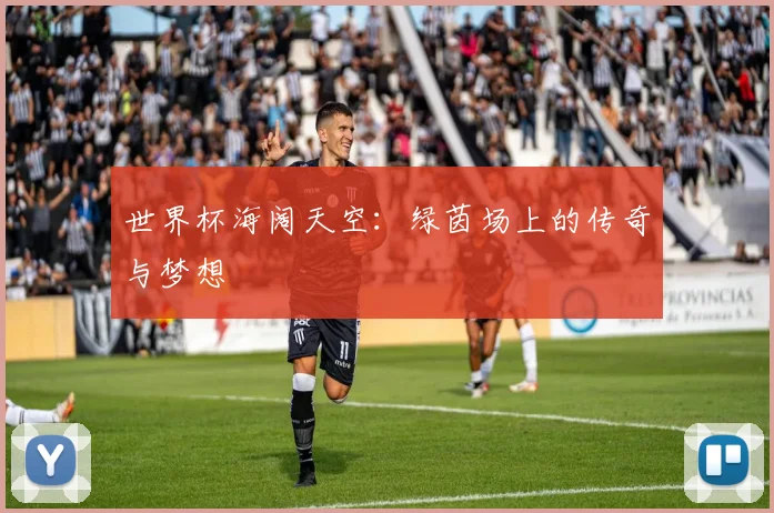 世界杯海阔天空:绿茵场上的传奇与梦想
