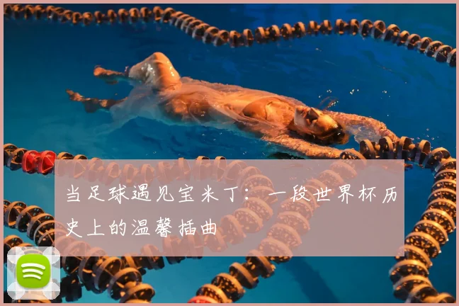 当足球遇见宝米丁：一段世界杯历史上的温馨插曲